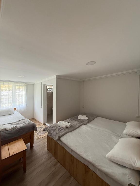 a bedroom with two twin beds and a window at Tebdi Qor, Warm Home in Mestia