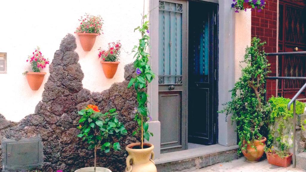 アーチ・トレッツァにあるChibedda Dimora Liaの鉢植え家の玄関