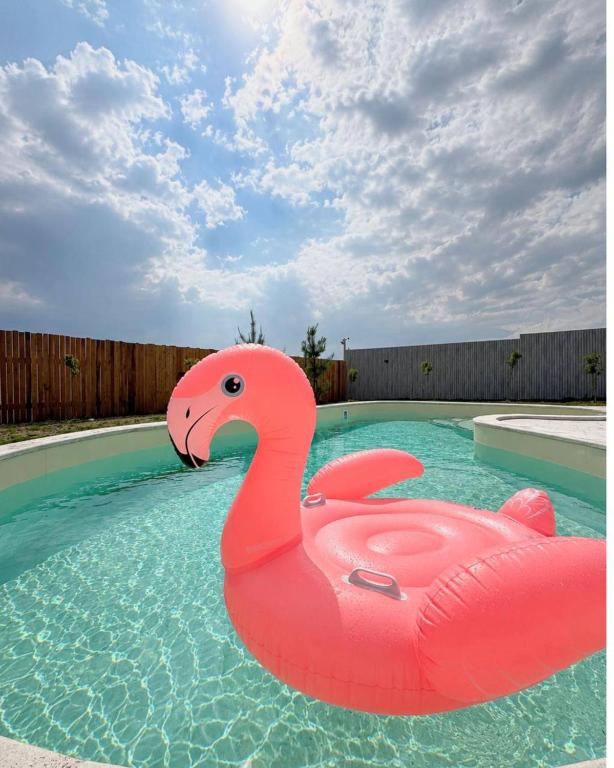 a pink inflatable pink swan in a swimming pool at Highland Hils in Garni