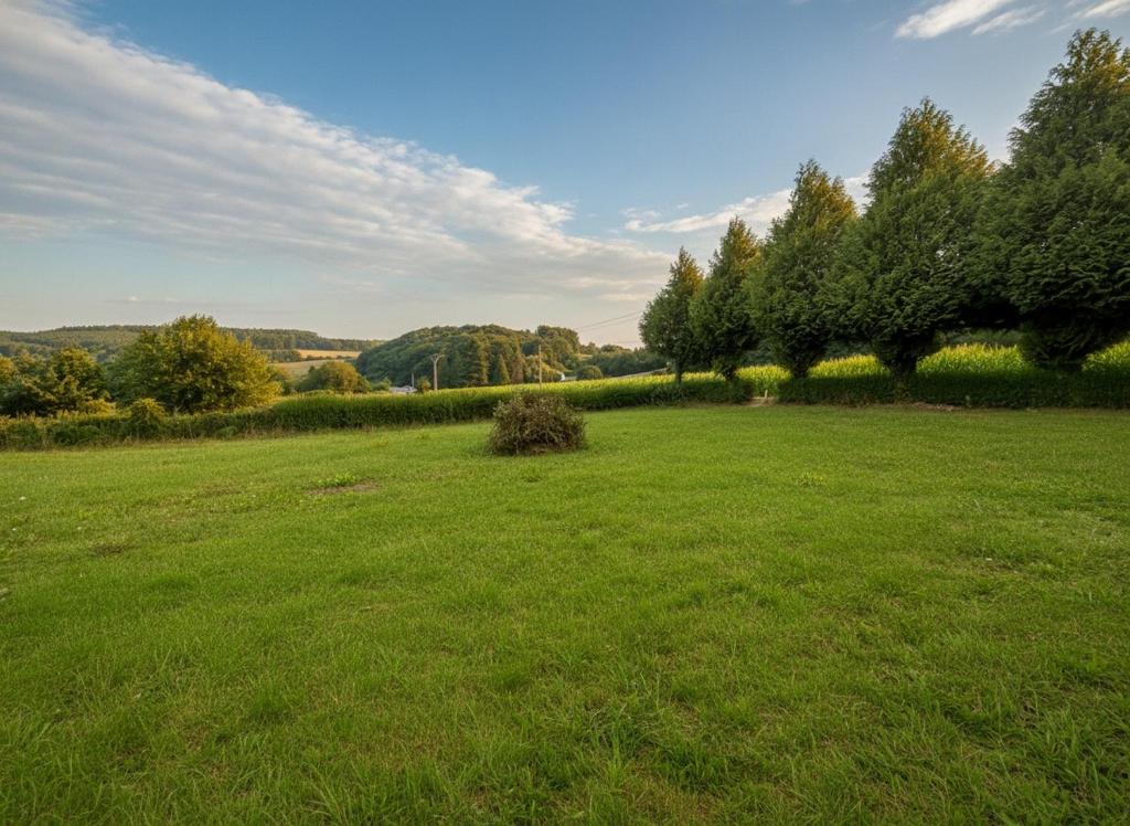 a large field of green grass with trees in the background at Casa Vila in Pol