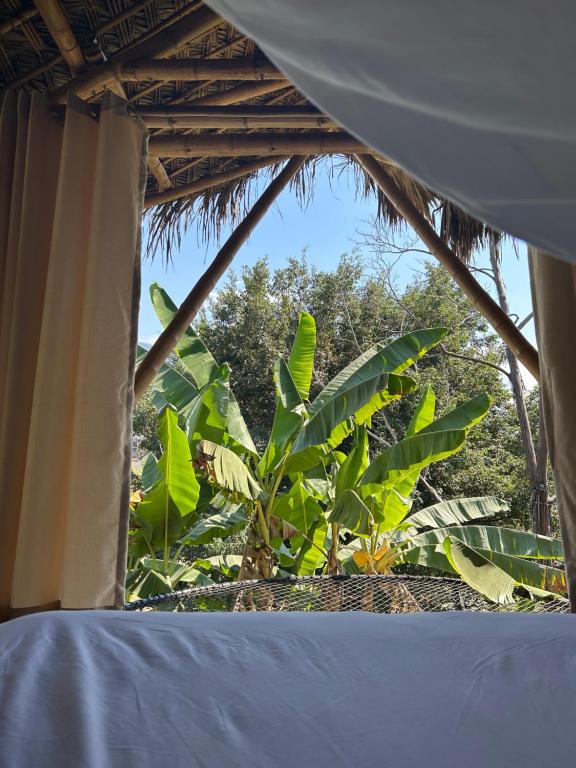 a window in a tent looking at a banana tree at Kapiro Ecolodge Satipo in Satipo
