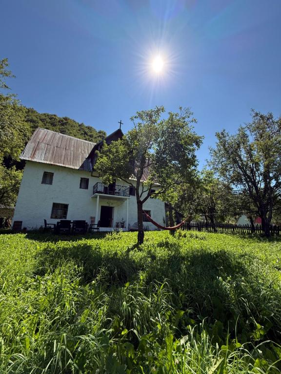 a white house with a tree in a field at Kulla e Vjetër ,Vermosh in Vermosh
