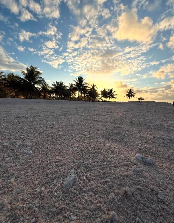 Itaeta'e Tikehau - photo 5 - Tikehau, Polynésie