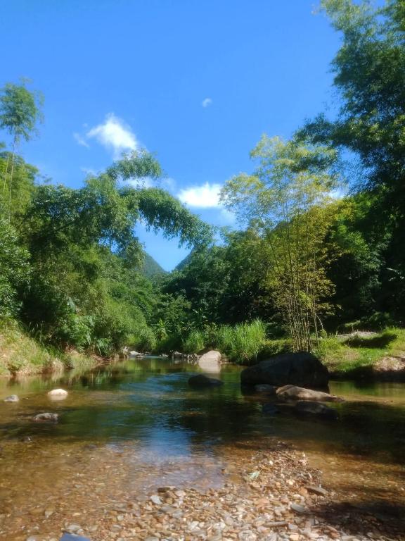 a river with trees and rocks in the water at Homestay mây phía đồi in Lũng Tiềm