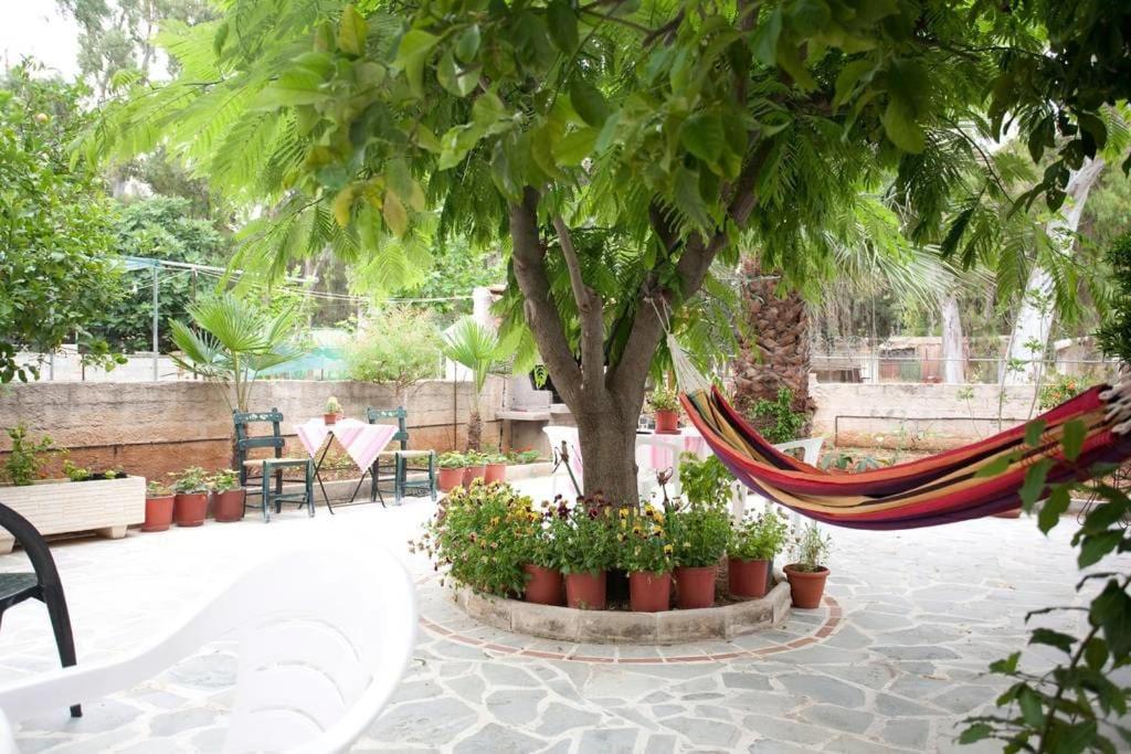 A garden outside Veggie Garden Athens B&B