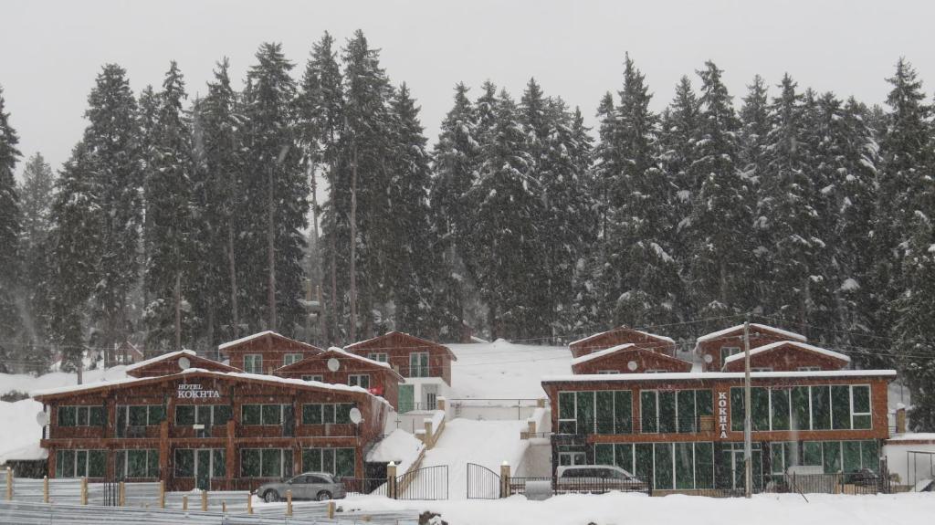 Chalet Kokhta v zimě
