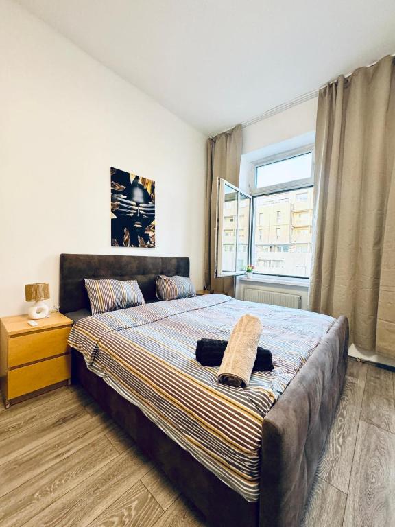 Cozy 3BR Apt for up to 9P, 10 Min to FAC Platz