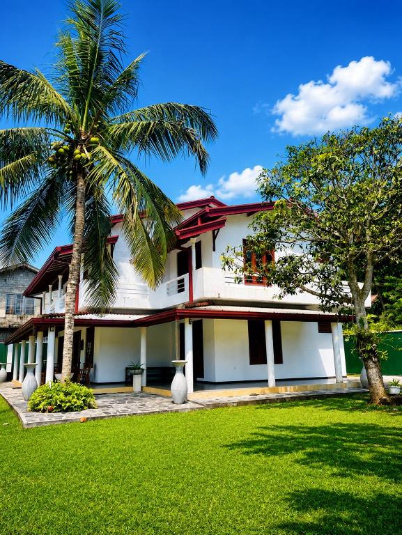 a house with a palm tree in the yard at Mango Villa Bentota in Bentota