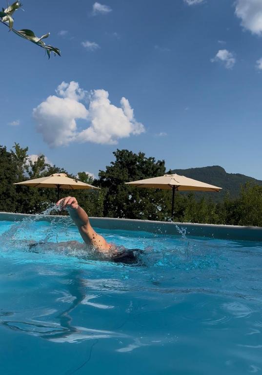 a person in a swimming pool with umbrellas at Agriturismo Podere Asche in Santa Fiora
