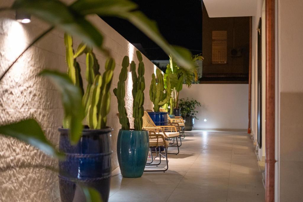 a row of plants in blue vases on a wall at Viver Guest House in La Caletta