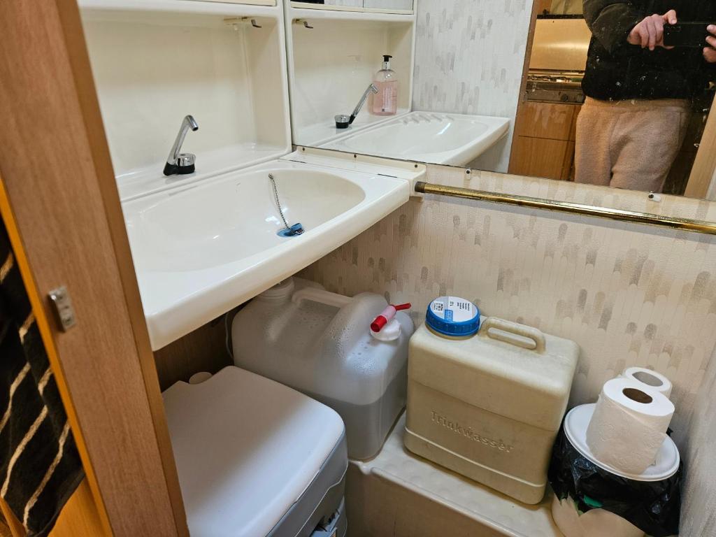 a bathroom with a sink and a toilet and a mirror at Full Service Caravan 2 in Gentofte