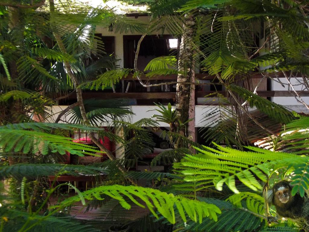  Pousada Brasil Paraty