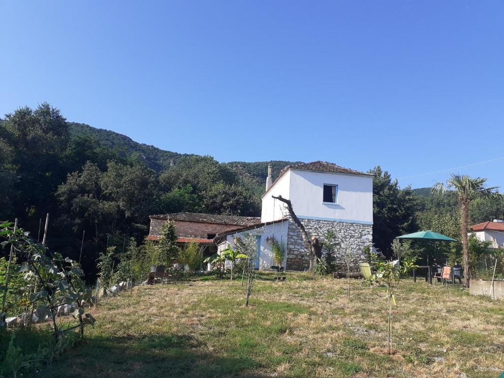 a house in the middle of a field at Stone House Rooms near Kavala in Amisianá