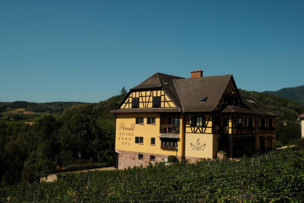 a building on top of a hill at Hôtel Arnold in Itterswiller