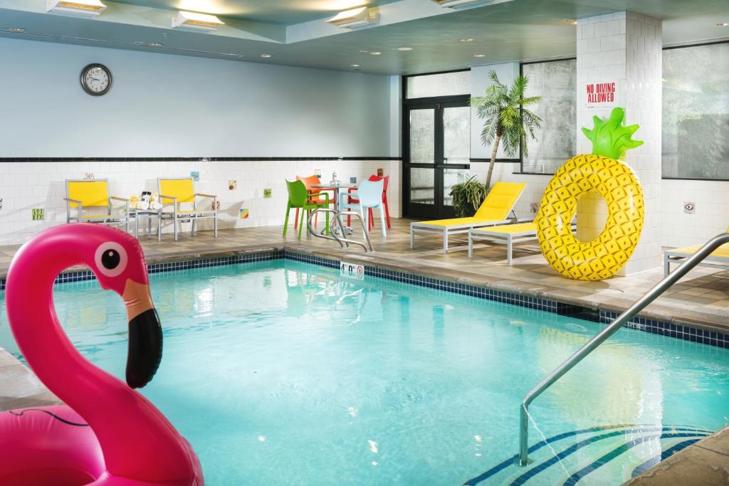 una piscina con fenicottero rosa in una camera d'albergo di Staypineapple, The Maxwell Hotel, Seattle Center Seattle a Seattle