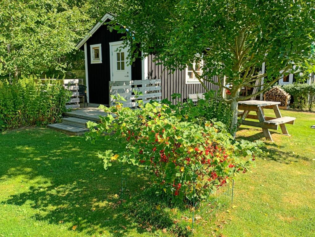 a garden with a bench and a picnic table in front of a house at Countrycabin Bergslagen stuga in Ramsberg