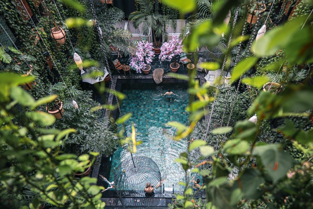 an overhead view of a pool of water with plants at Manon Les Suites Guldsmeden in Copenhagen