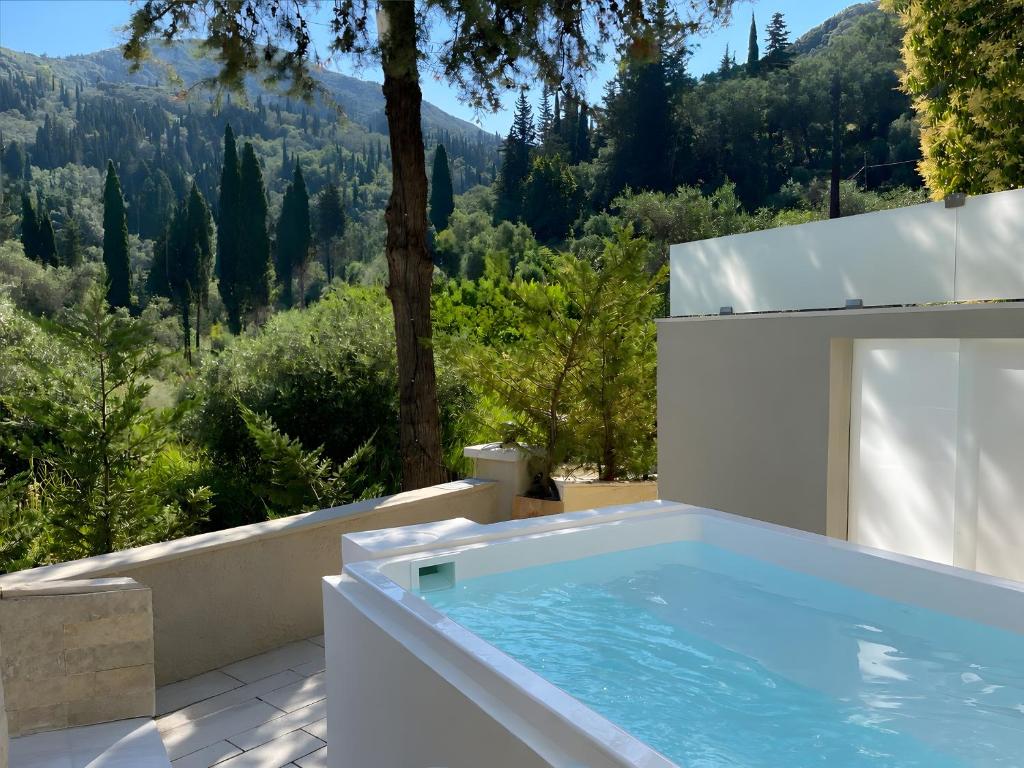 a swimming pool with a view of a mountain at Doliva Studio 6 with private pool in Agios Gordios