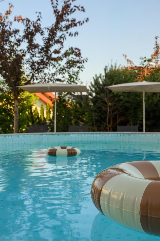 a swimming pool with two buoys in the water at Willa Magnolia - pokoje i apartamenty - rowery - plac zabaw MONTESSORI - basen - pokój zabaw in Jantar