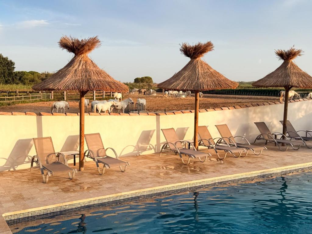 a group of chairs and umbrellas next to a swimming pool at Hotel Mas Des Barres in Saintes-Maries-de-la-Mer