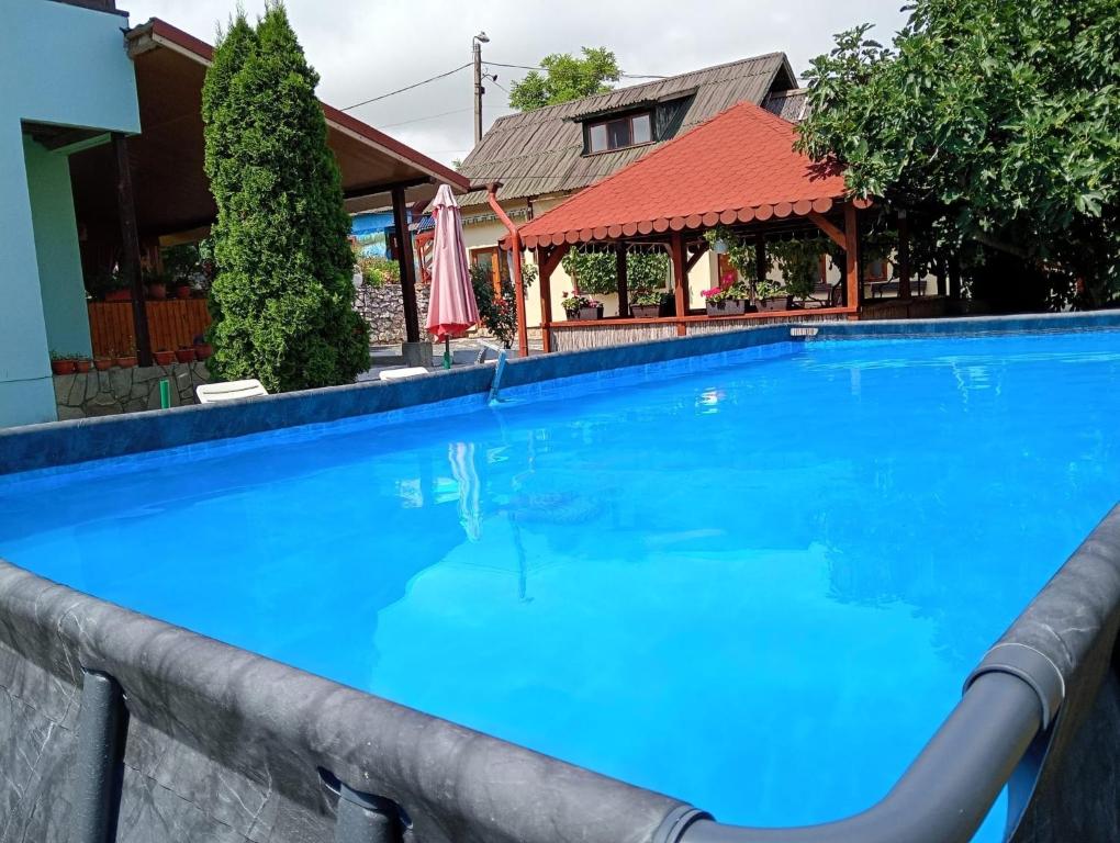 a large blue swimming pool in front of a building at CASA ADI SI MARIA in Mahmudia