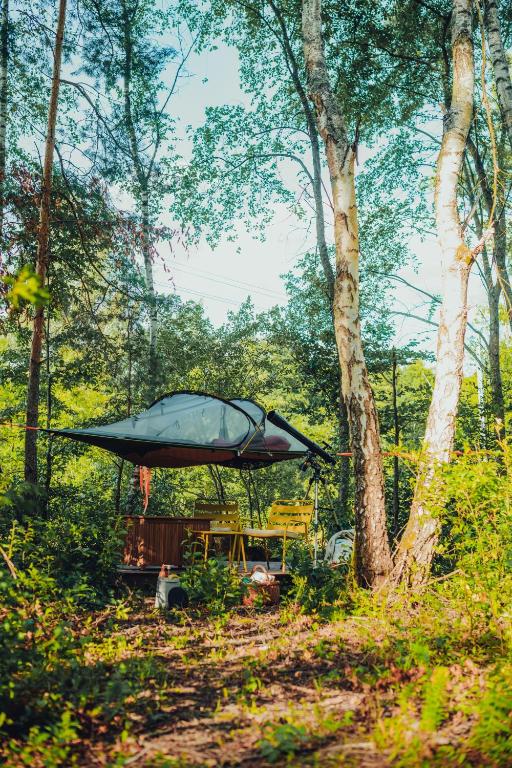 a large tent in the middle of a forest at Dacza Puchacza Hamaki in Stare Osieczno