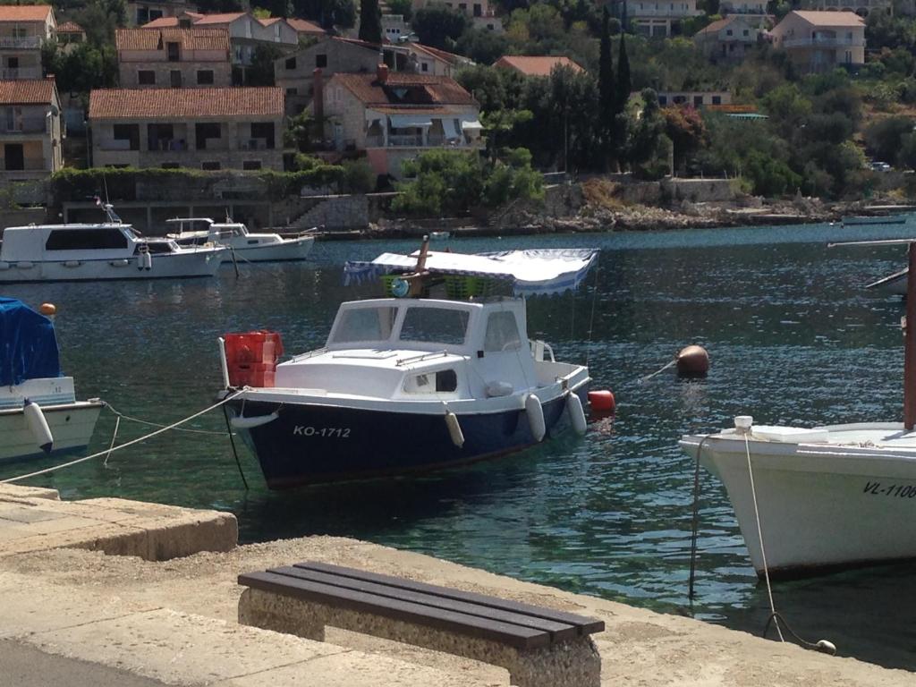 a small boat is docked in a harbor at Apartment Žarko in Brna