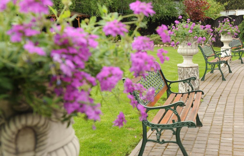 Hotel Astra Tajemniczy Ogród - Resim 20