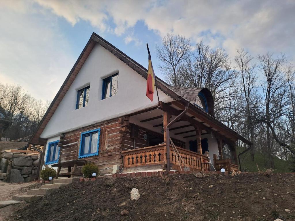 a house with a flag on the front of it at Maramureș Nook in Comarnic