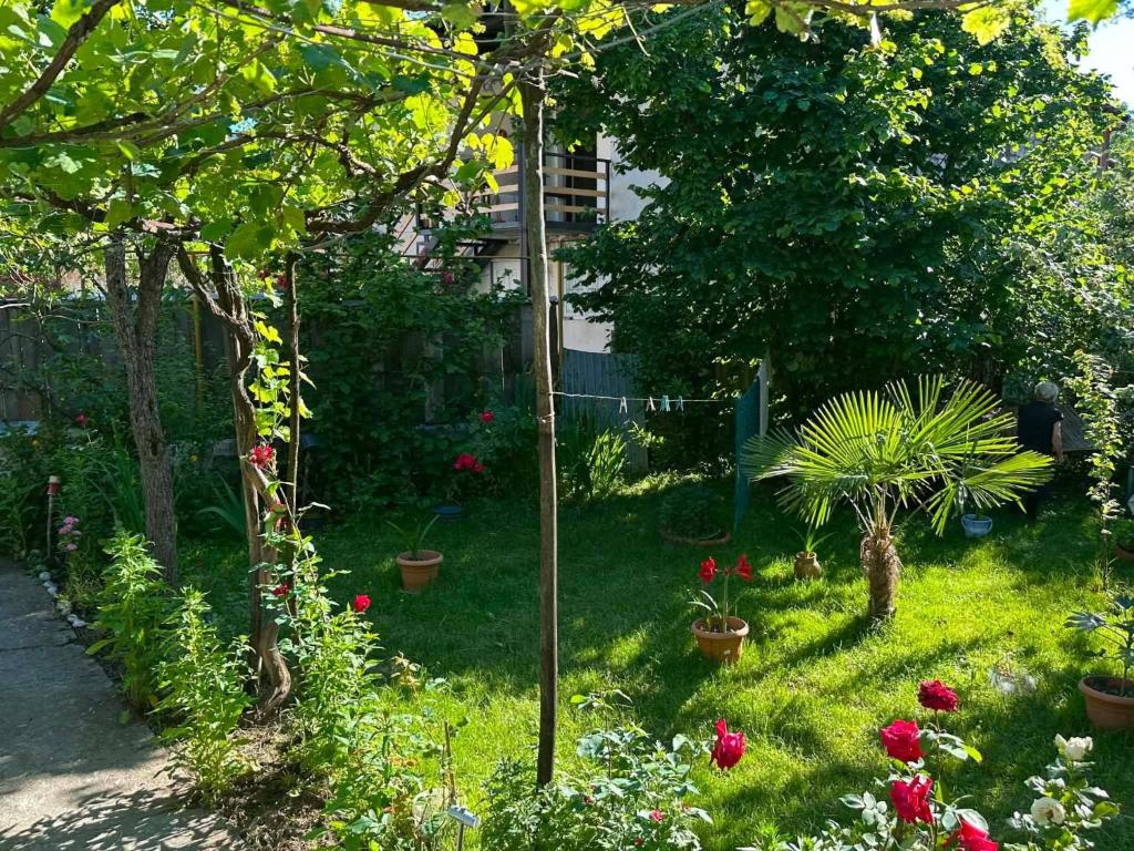 a garden with plants and flowers in the grass at Cozy home racha in Ambrolauri