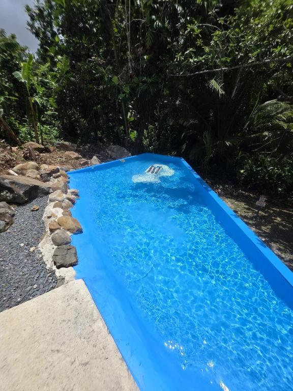 a blue swimming pool in a yard at RiverHouse Luquillo in Ramos