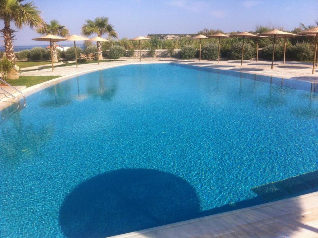 a large blue swimming pool with palm trees and umbrellas at Athinas Art House in Kolymbia