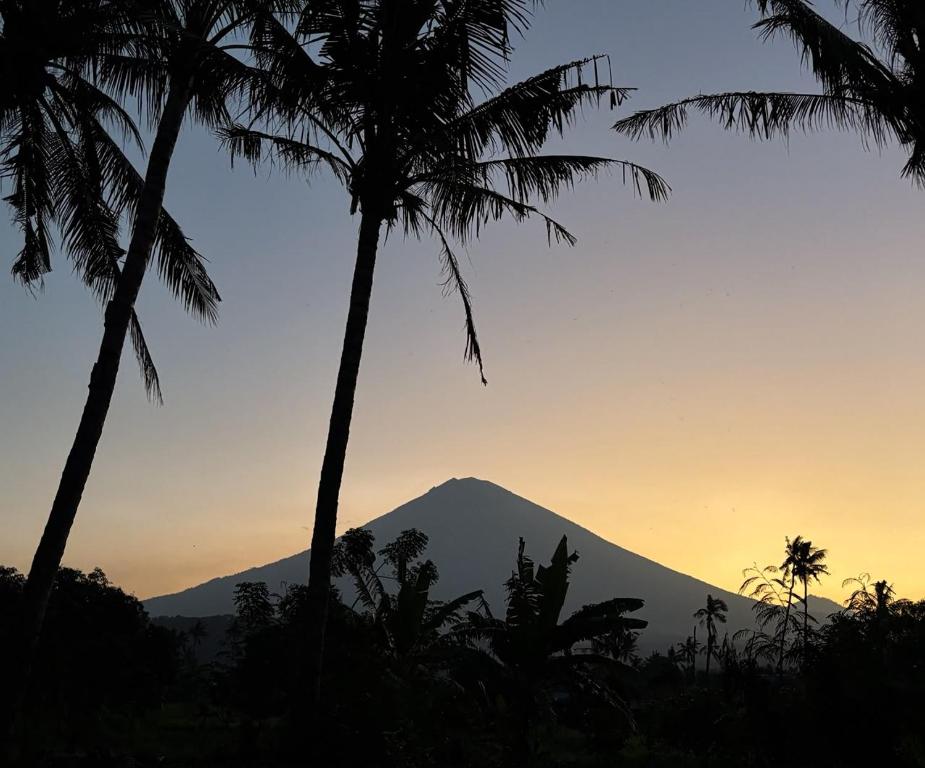 a mountain with palm trees in front of a sunset at Kayana Amed in Amed
