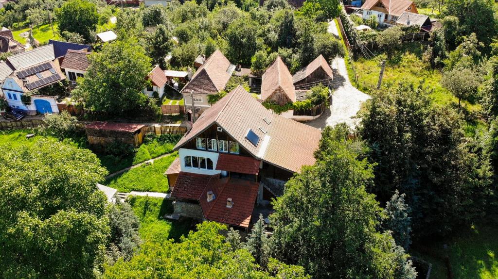 an aerial view of a house in a village at FLH - Casa Cascada in Fîntînele