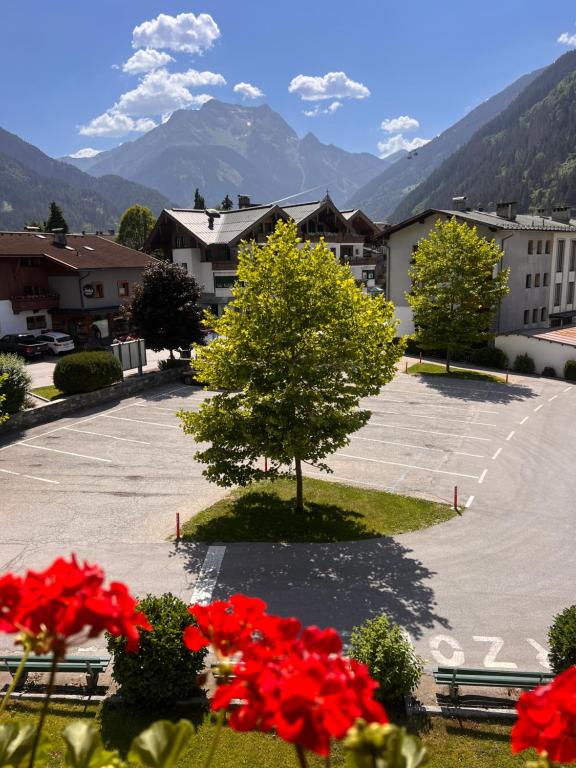 a parking lot with a tree and red flowers at edelweiss lounge restaurant hotel pizza cafe billard gasthof in Mayrhofen