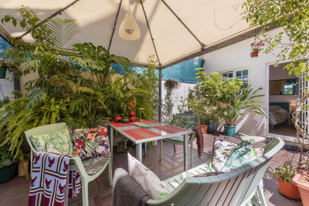 Relaxing Suite in Estrela