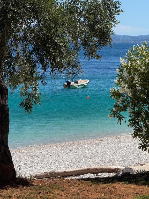 a boat in the water next to a beach at Nissaki Bay Apartments in Nisaki