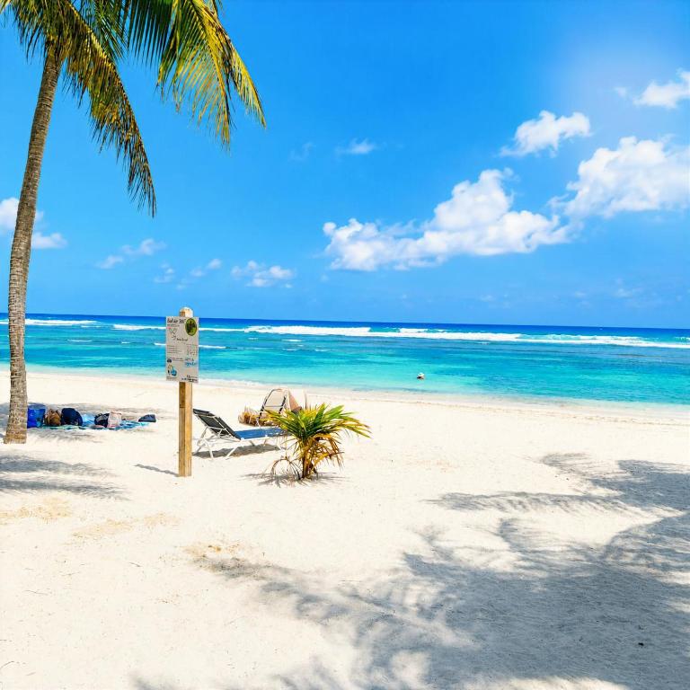 a sign on a beach with a palm tree and the ocean at Le Tropical in Sainte-Anne