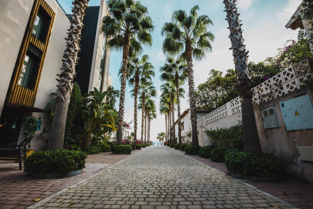 a cobblestone street lined with palm trees and buildings at H Boutique Peña Parda in La Herradura