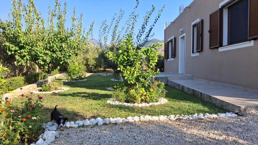 a cat standing in a garden next to a house at Elvis's vacation house in Vlorë