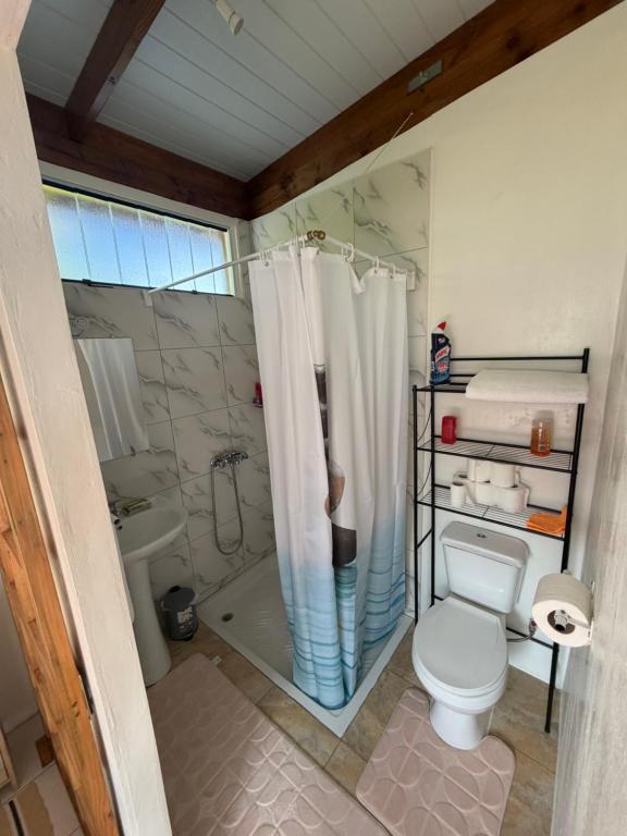 a bathroom with a toilet and a shower at Orivai Lodge in Fare