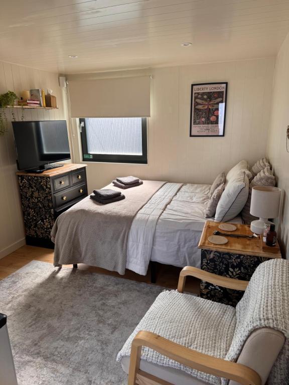 a bedroom with a bed and a tv and a couch at The Snug in Yeovil