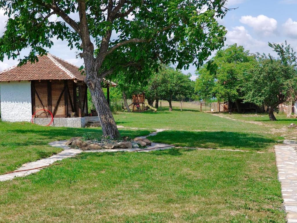 a tree in the grass next to a building at Čardak seosko domaćinstvo 