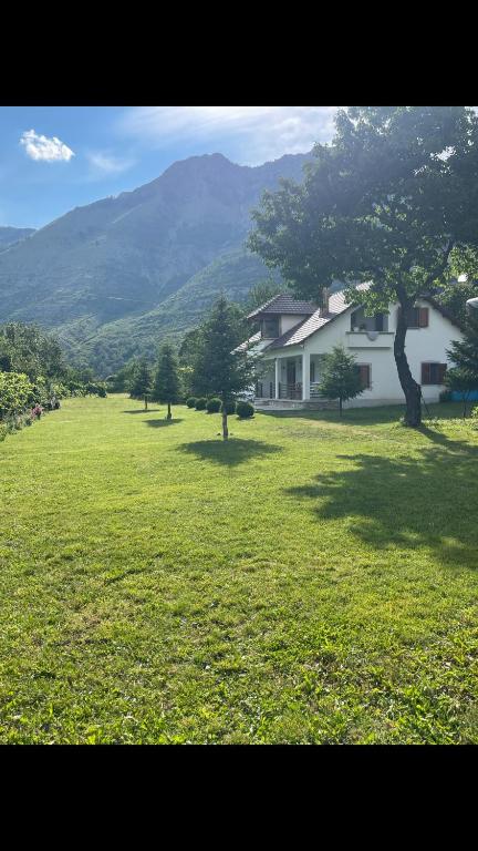 a large field of grass with a house and a tree at Paja Guesthouse - Camping in Bogë