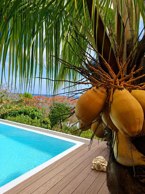 a bunch of bananas sitting on a deck next to a swimming pool at Villa Toc Toc à Bouillante, Guadeloupe in Bouillante