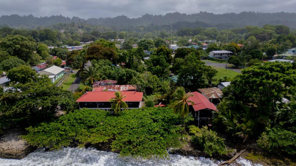 an aerial view of a town with trees and a river at Cabinas Jenny Cahuita in Cahuita