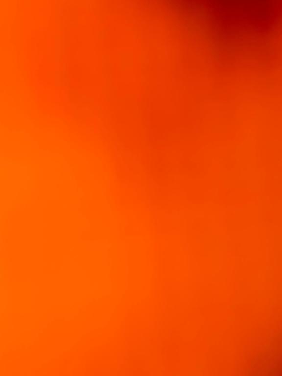 a close up of an orange background at Cheater paradise in Wundowie