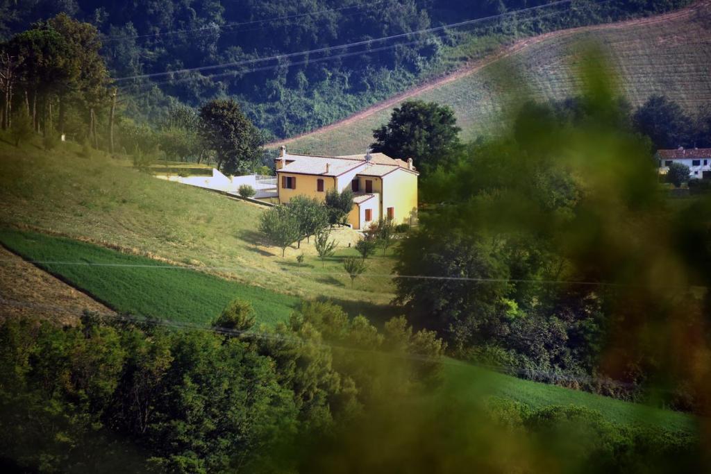 una piccola casa su una collina in un campo di Casale Montesicuro a Montesicuro