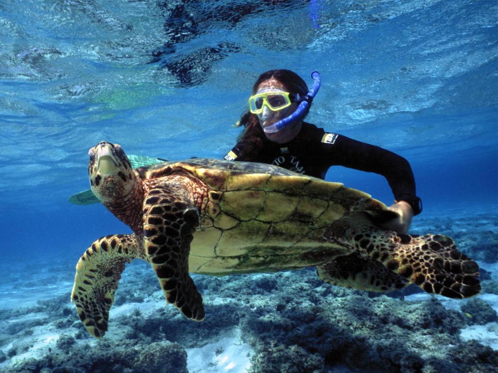  Pousada Pé na Areia Ubatuba