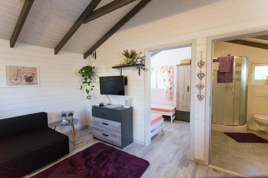 a living room with a couch and a television at Przylesie21 in Ustka